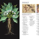 INHALT: Antike Wurzeln, Fluch oder Segen, inklusive Themen wie Magie, Rituale und Alchemie. Links Pflanzenillustration.