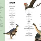 Inhalt: Themen wie Körperbau, Dino-Gruppen, Schutz, Nester, Fliegen, Fossilien; Illustrationen von Dinosauriern.