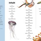 Inhalt: Tiefenzonen, Der Blaue Planet, Was ist ein Fisch?, Tolle Fische, Quallen, Haie. Illustrationen von Quallen und Meereswesen.