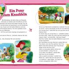 Ein Pony zum Knuddeln. Bibi Blocksberg, die kleine Hexe, verbringt Zeit mit Tina auf dem Martinshof. Illustrationen von Bibi, Tina und einem Pony in ländlicher Umgebung.