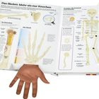 "Das Skelett: Mehr als nur Knochen" beschreibt menschliche Knochen, Gelenke und die Wirbelsäule mit Illustrationen.