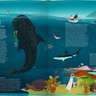 "Galápagos: Eine biologische Schatzkammer" steht oben links. Darunter tauchen Menschen mit einem Walhai, Schildkröten und Meereslebewesen im blauen Wasser. Ein Pinguin, Kajakfahrer, Flamingo, Landkarte und die Zahl "15" sind zu sehen.