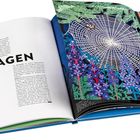 "JAGEN" steht groß im Text. Daneben eine bunte Illustration mit einem Spinnennetz über blauen Blumen.