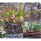 Kalenderblatt mit Januar-Daten links. Blühende Schneeglöckchen und Frühlingsblumen in Töpfen, umgeben von Zweigen.