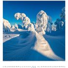 Kalenderblatt für Januar. Schneebedeckte Bäume unter klarem blauem Himmel, Mond sichtbar.