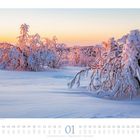 Kalenderblatt Januar unter verschneiten Bäumen bei Sonnenaufgang. Schnee glitzert, Himmel ist pastellfarben.