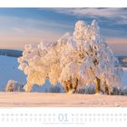Kalenderseite für Januar. Schnee bedeckte Bäume strahlen in der Morgensonne auf einer hügeligen, winterlichen Landschaft.