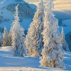Bildbeschreibung: „Ausblick von der Rigi im Winter, Schweiz“. Verschneite Bäume vor Bergkulisse, darunter Kalenderblatt.