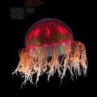 Text: "Hydrozoe der Gattung Crossota", "januar". Leuchtende Qualle mit langen Tentakeln auf schwarzem Hintergrund, Kalenderansicht.