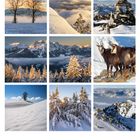 Kalenderblatt mit Januar-Daten und winterlichen Berglandschaften, schneebedeckte Bäume und Berge sowie zwei Gemsen.