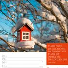 Zitat von Francis Bacon: "Es sind nicht die Glücklichen, die dankbar sind. Es sind die Dankbaren, die glücklich sind." Datum: KW53/2026. Ein rotes Vogelhaus mit Schnee, von Ästen umgeben.