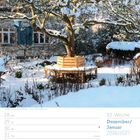 53. Woche, Dezember/Januar 2026/2027. Schneebedeckter Garten mit Baum, Bank drumherum, vor einem Haus mit blauen Fensterläden.