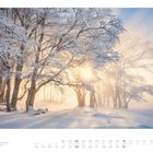 01. Winterlandschaft mit schneebedeckten Bäumen und strahlender Sonne, die durch die Äste scheint.