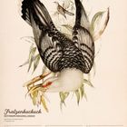 Fratzenkuckuck Illustration, Kalender für Dez/Jan 2026. Datiert: 28., 29., 30., 31. Dezember und 1., 2., 3. Januar.