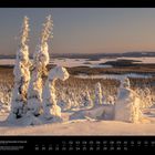 "01 Riisitunturi-Nationalpark in Finnland" – Schneebedeckte Landschaft, Bäume im Vordergrund, Seen und Hügel im Hintergrund.