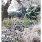 53 DEZ/JAN MO 28 DI 29 MI 30 DO 31 FR 01 SA 02 SO 03. Ein frostiger Garten im Winter mit vereisten Pflanzen.