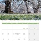 Kalender für Januar 2027, Feiertage: Neujahr, Heilige Drei Könige, Martin Luther King Day. Mit Raureif bedeckte Eiche.