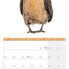 Kalenderblatt für Januar 2027 mit einem Huhn darüber und einem hellen, klaren Layout.