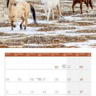 01.2027. Kalender mit Monatsübersicht Januar. Bild von drei Pferden in schneebedeckter Landschaft vor rotem Felsen.