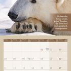 Text: "Ich brauche keine neuen guten Vorsätze, die alten sind noch praktisch unangetastet."  
Ein Eisbär liegt im Schnee, darunter ein Kalender für Januar 2027.