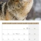 Kalender für Januar 2027, mit Feiertagen wie Neujahr und Heilige Drei Könige. Ein Wolf heult im Hintergrund.