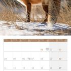 Kalender für Januar 2027 mit einem Fuchs im Schnee. Feiertage: Neujahr, Heilige Drei Könige, Martin Luther King Day.