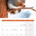 Kalenderblatt Januar 2027, Bild eines Eichhörnchens an einem Baumstamm, winterliche Umgebung.