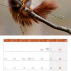 Kalender mit Januar 2027, Wochenübersicht, Feiertage markiert. Bild eines roten Eichhörnchens auf einem Ast.