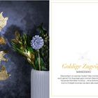 Links goldene Vogel-Wanddeko vor dunkler Wand; rechts Text über Zugvögel im Winter.