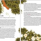 Titel: "Happy talk". 
Untertitel: "Why it's important to challenge the myths around happiness". 
Illustration: Grüne Blätter und weiße Blumen.