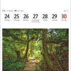 Kalenderwoche 21 im Mai, mit Feiertag am 27. Mai. Darunter ein Waldpfad mit dichten, grünen Bäumen.
