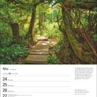 Mai-Kalenderblatt mit Waldweg, Text über Meares Island in Kanada. Zitat: "Die Wildnis ist es, die die Welt bewahrt."
