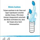 "Klein halten. Tulpen wachsen in der Vase und ragen irgendwann unschön. Datum: 14. April, Mittwoch." Illustration: Tulpen mit Messer.