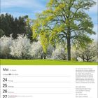 Mai-Kalender mit Wochentagen. Gedicht von Ludwig Hölty über Apfelblüten und Frühling. Grüner Baum vor blauem Himmel.