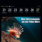 Text: „Mein Führerscheinfoto aus den frühen 80ern“. Kalenderansicht für die Woche vom 21. bis 27. Juni. Ein Rotfeuerfisch.