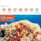 Text oben: "Oktober 43. Woche" mit Kalendertagen. Unten: "Clownfisch", zwei Clownfische in Seeanemone.