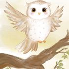 Text: "Ich bin schlau und lerne jeden Tag dazu." Eine niedliche Illustration einer Eule auf einem Ast.