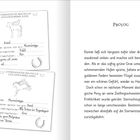 Zwei Karten der Sternenstaubschule Goldfederklasse mit handschriftlichen Informationen, daneben ein Prologtext.