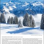 "Hochwinter am Gross Kärpf (Glarner Alpen, Glarus, Schweiz)." Schneebedeckte Berge und Tannen, klare blaue Himmel.