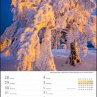 Winterzauber beim Schauinsland. Kalender zeigt Ende Dezember 2026 und Anfang Januar 2027. Schnee bedeckt Baum im Licht.