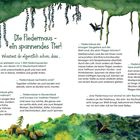 Text im Bild: "Die Fledermaus – ein spannendes Tier! Wusstest du eigentlich schon, dass ..." Naturillustration mit Fledermaus und Waldmotiv.