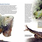 Text: „Lebende Drachen“, „Ein fliegender Drache“. Die Seite zeigt große Reptilien: einen Leguan, ein Chamäleon und einen Kaimanteju.