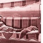 "Frauen haben den Vorteil, etwas rätselhaft zu sein." - Françoise Gilot. Frau liegt entspannt auf einem Sofa in einer Cabana.