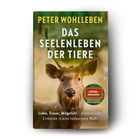 "Das Seelenleben der Tiere" von Peter Wohlleben. Ein Hirsch im Wald; Sticker "SPIEGEL Bestseller" und Text zu Gefühlen.