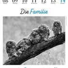 März 08 Montag bis März 14 Sonntag. "Die Familie ist eines der Spitzenwerke der Natur." Fünf Eulen auf einem Ast.