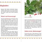 Allerlei Volksglauben: Links Hexenkünste, Hexenabwehr. Rechts Mond- und Sonnenregel, Zahlen in der „Küchenmagie“. Bild von Kräutern.