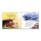 Links ein Pferd mit Libellen, rechts eine Landschaft mit Meer und Bergen, darunter ein schlafender Mann. Texte über Natur.