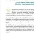 "DAS S.E.H.E.N.-PRINZIP: Ein ganzheitlicher Rahmen für deine Augengesundheit. Das Auge ist kein Organ für sich." Es gibt eine Illustration eines Auges.