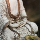 Zitat von Huang Po über Buddhas und Leibwesen. Kalenderblatt Januar 2027 mit Feiertagen. Buddhastatue sichtbar.