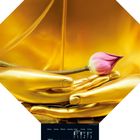 Kalendertext mit "Januar 2027", goldene Buddha-Hände halten eine rosa Blume auf gelbem Hintergrund. Unten Monatskalender.